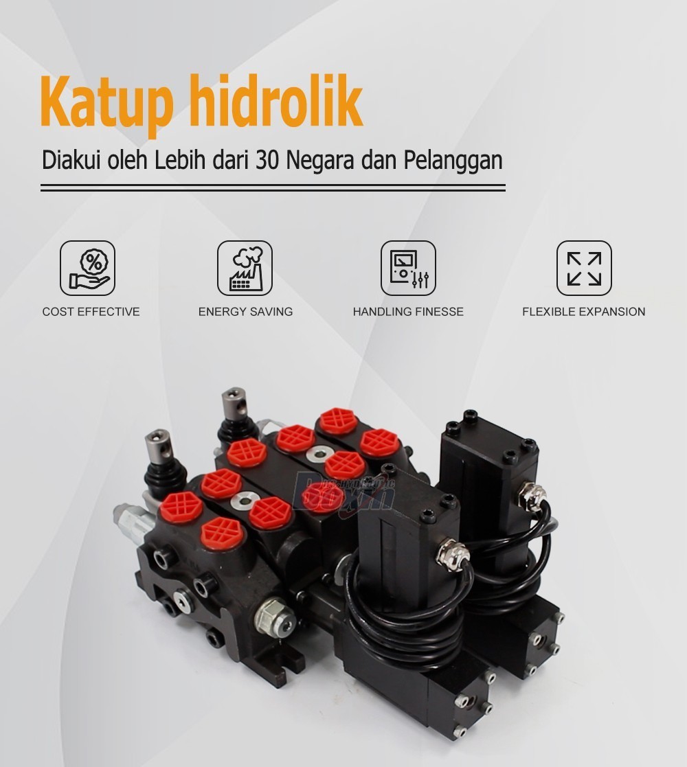 Sectional Directional Valve DCV60 2 Spool Electric Actuated Model